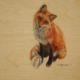Drawing of a Red Fox in pencil on wood Lynne Mitchell