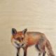 Red Fox standing artwork Lynne Mitchell