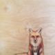 Red fox drawing in pastel pencil Lynne Mitchell