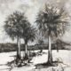 Black and white modern drawing of palm trees Lynne Mitchell