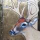 Colorful drawing of a Buck on wood panel Lynne Mitchell