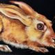 Rabbit drawing in pastel on wood Lynne Mitchell