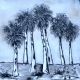 Abstract painting of group of palm trees Lynne Mitchell